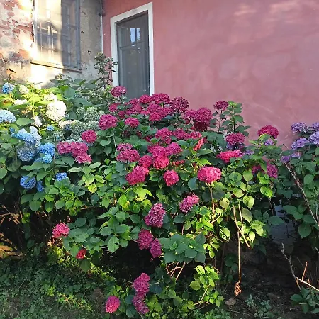 A Romantic In The Countryside Near Torino Hotel Pecetto